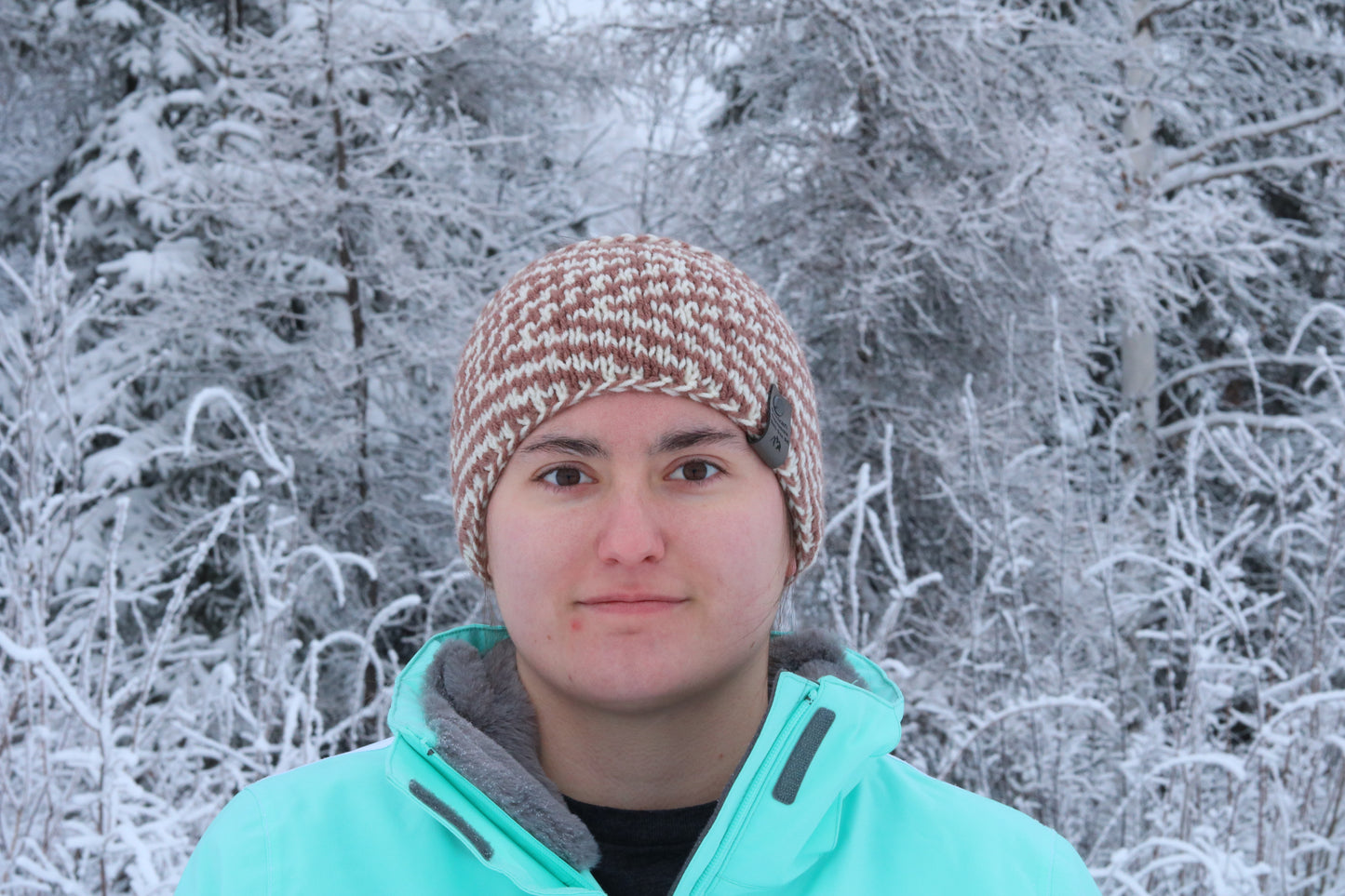 Arctic Trails Headband (Brown & Cream)
