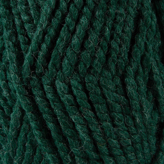 Sensy Woolly Yarn, 3.5 oz, 66 Yards, Gauge 6 Super Bulky: Forest Green / 1 Skein