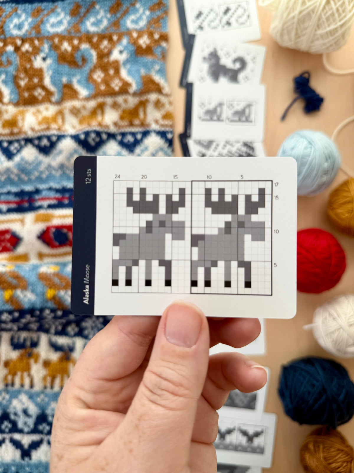Alaska Doodle Card Deck (Destination Foil Pack) by Pacific Knit Co
